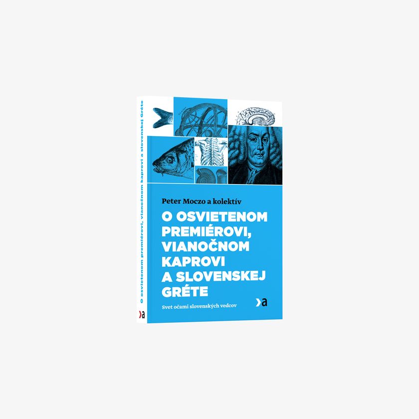 O osvietenom premiérovi, vianočnom kaprovi a slovenskej Gréte